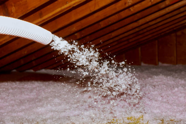 Best Energy Efficiency Solutions in Meraux, LA