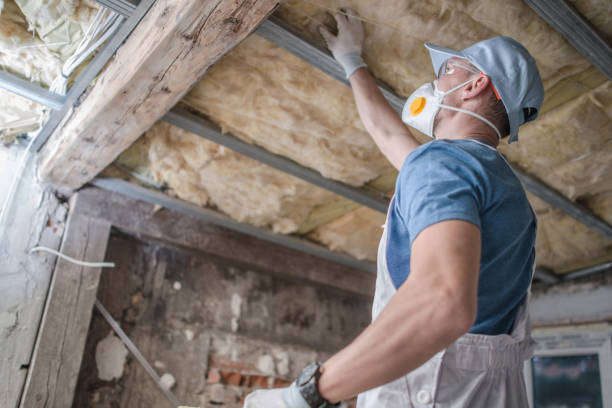 Best Insulation for Specific Applications in Meraux, LA