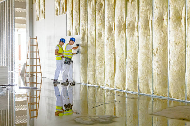 Best Insulation Installation Services in Meraux, LA